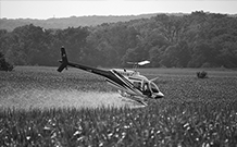 South Florida Helicopter Charter